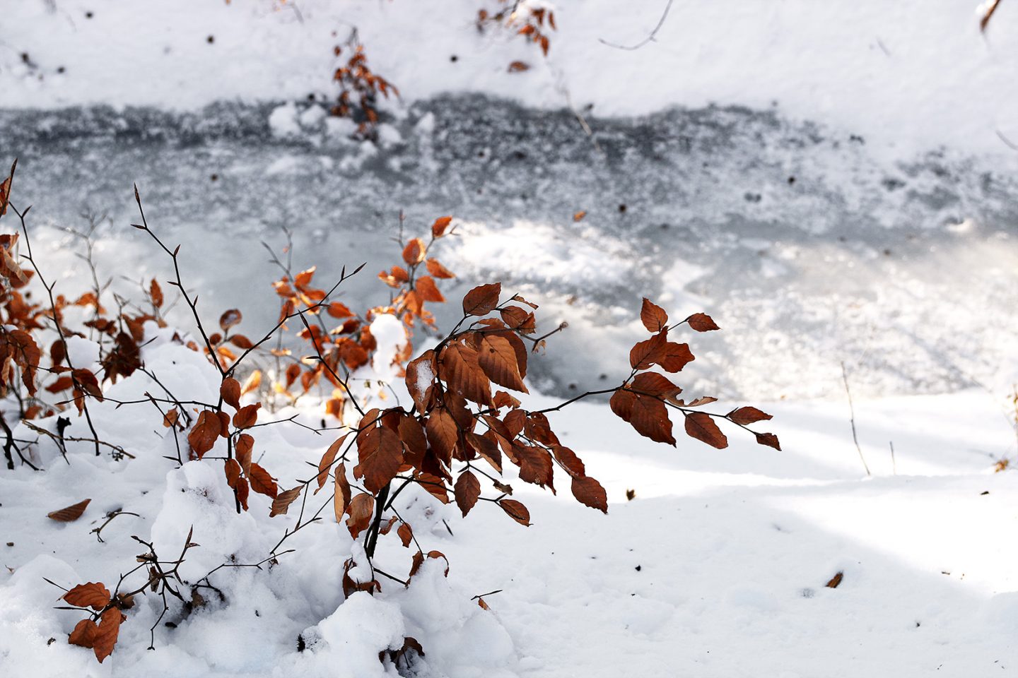 Winter wonders frozen river