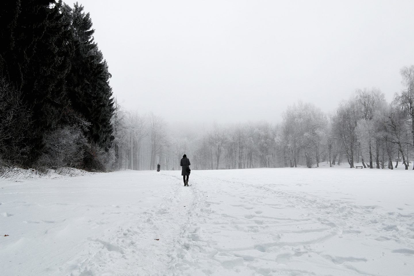 Winter snowy landscape