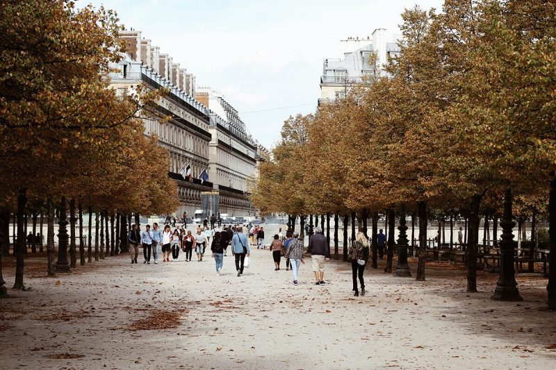 Fall in Paris