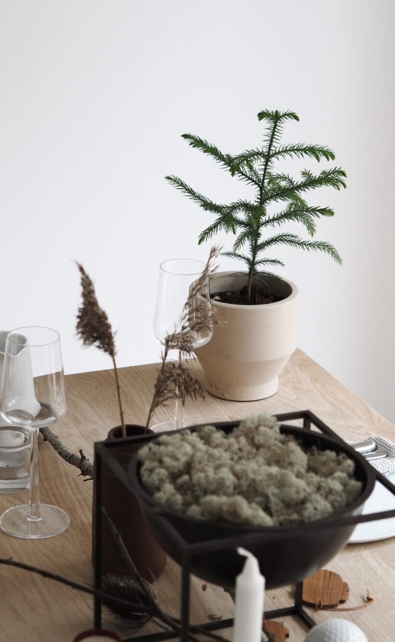 natural Christmas decor inspiration