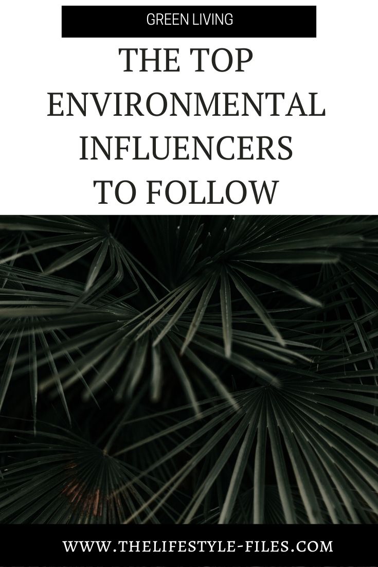 How to keep up with environmental news - the top influencers to follow