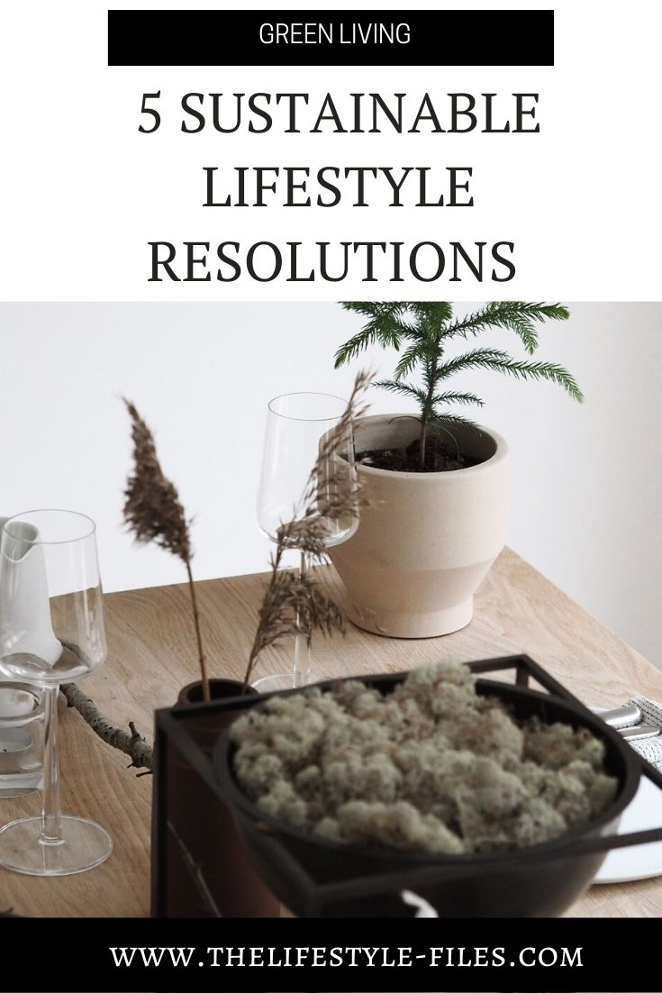 sustainable living resolutions