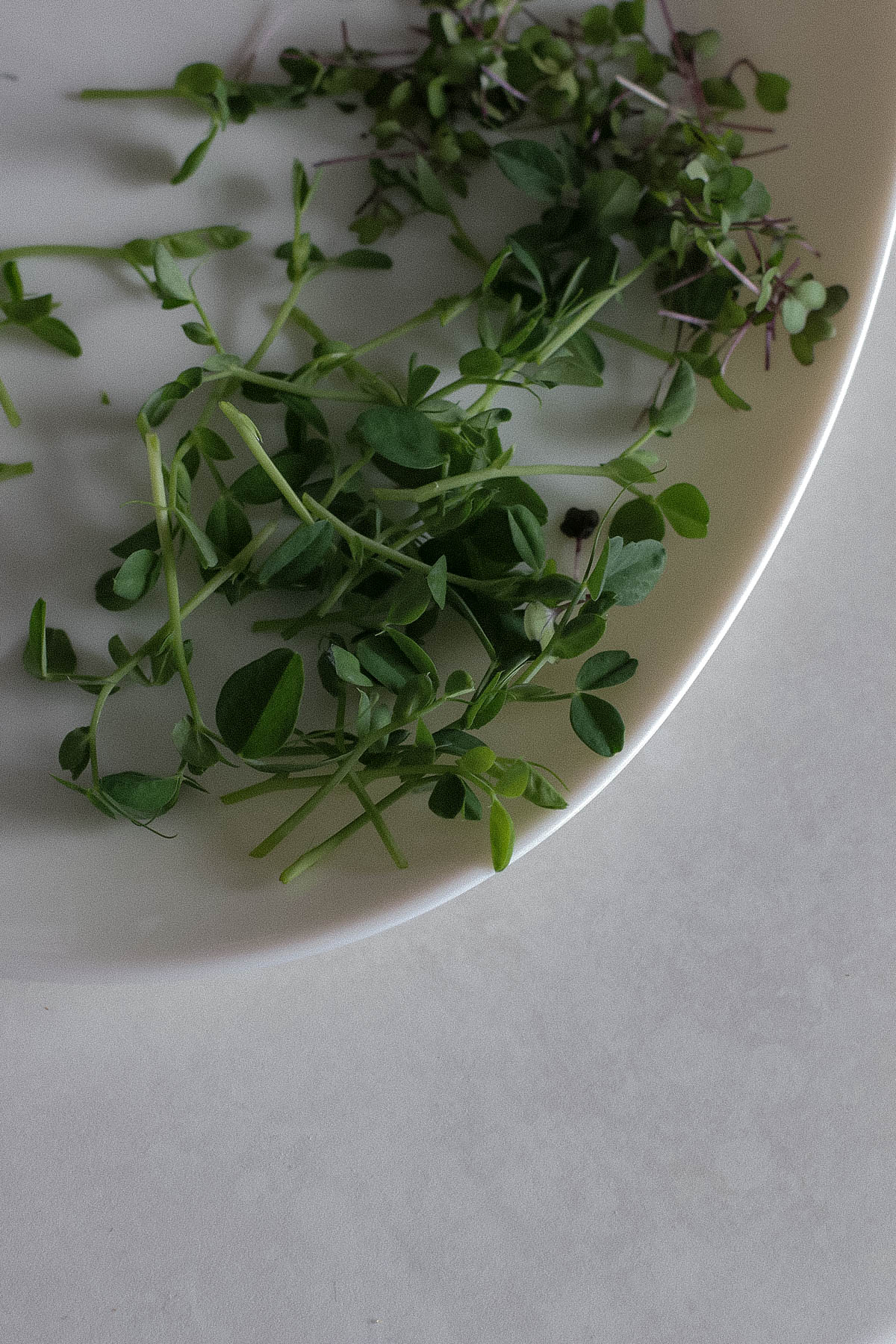 microgreens