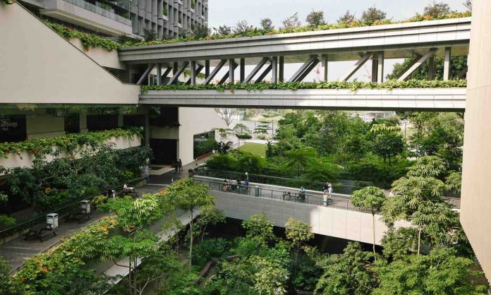 biophilic design