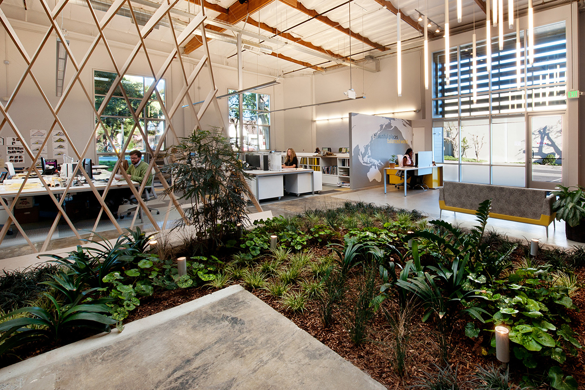 biophilic design