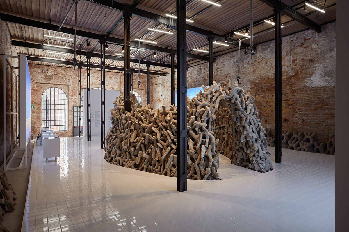 Sustainability at the venice architecture biennale 2021