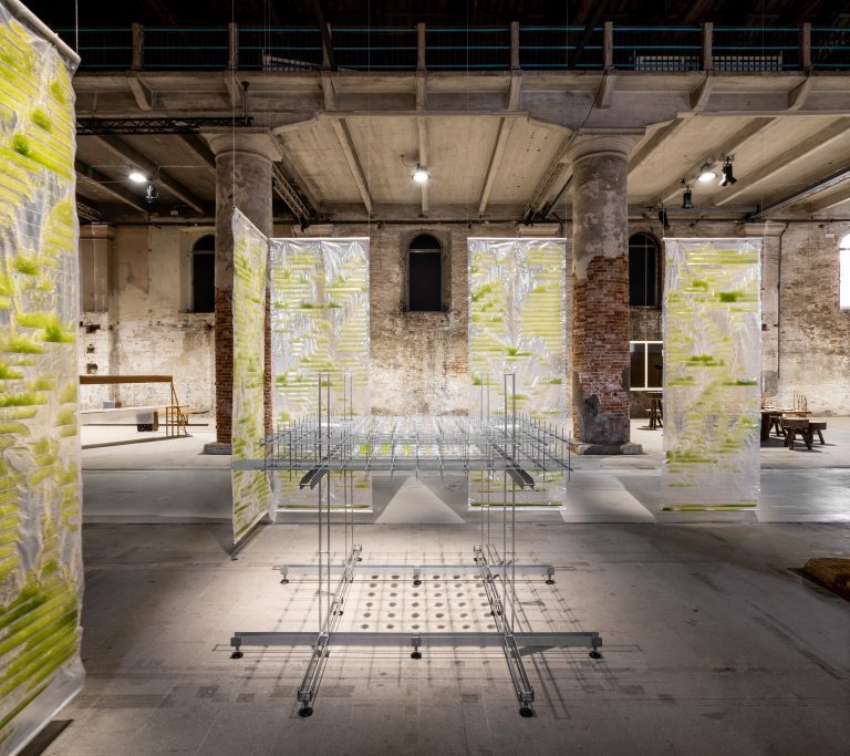 Sustainability at the Venice Architecture Biennale 2021