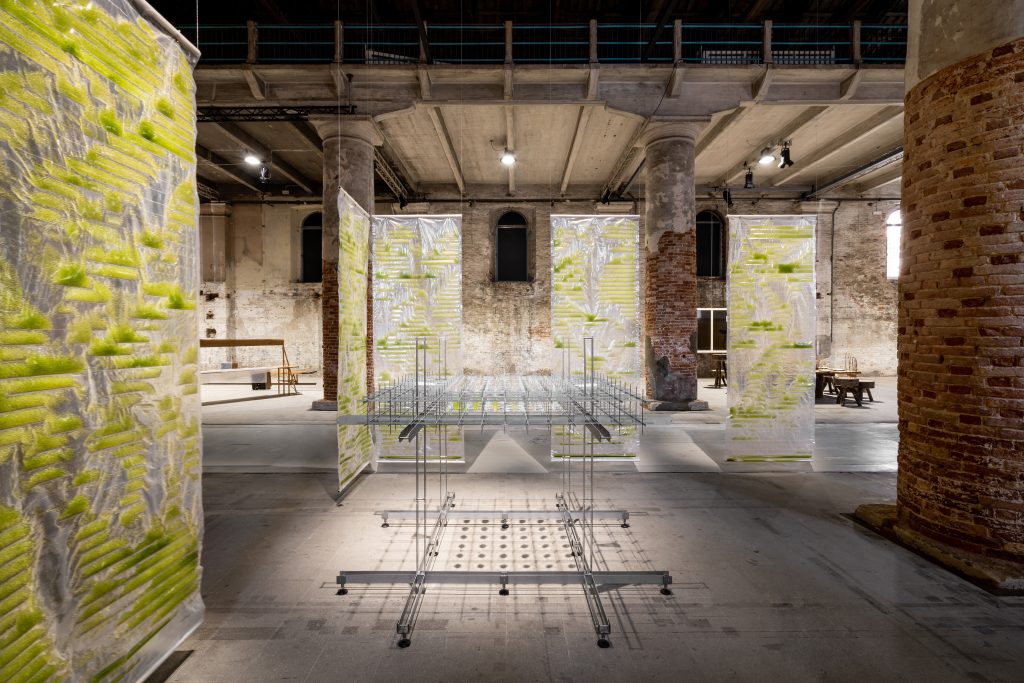 Sustainability at the Venice Architecture Biennale 2021