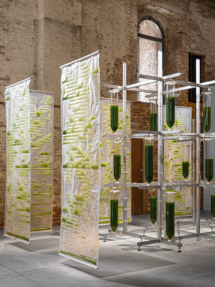 Sustainability at the Venice Architecture Biennale 2021